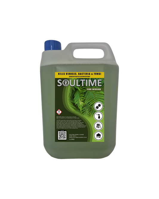 Soultime All-in-One Cleaner  - Fern Infusion - 5 Litre