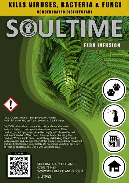 Soultime All-in-One Cleaner  - Fern Infusion - 5 Litre